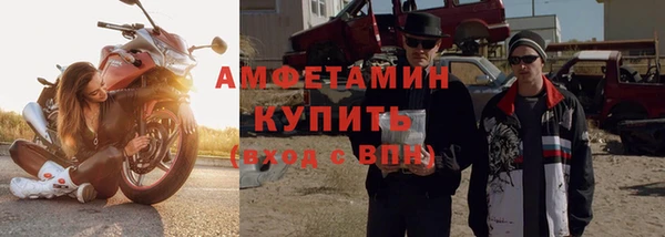 ПСИЛОЦИБИНОВЫЕ ГРИБЫ Михайлов