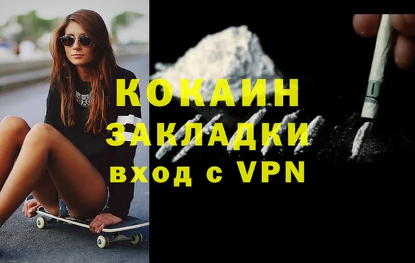 ПСИЛОЦИБИНОВЫЕ ГРИБЫ Михайлов
