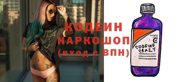 ПСИЛОЦИБИНОВЫЕ ГРИБЫ Михайлов