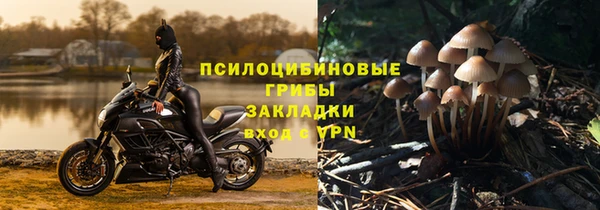 ПСИЛОЦИБИНОВЫЕ ГРИБЫ Михайлов