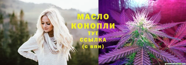 тгк Медногорск