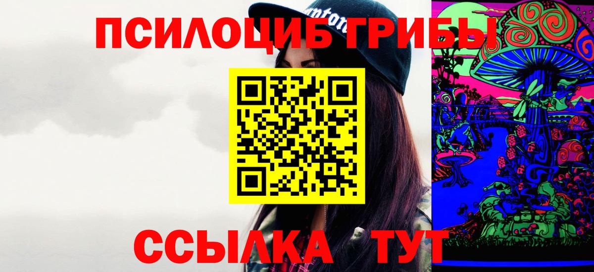 Псилоцибиновые грибы мицелий Муравленко
